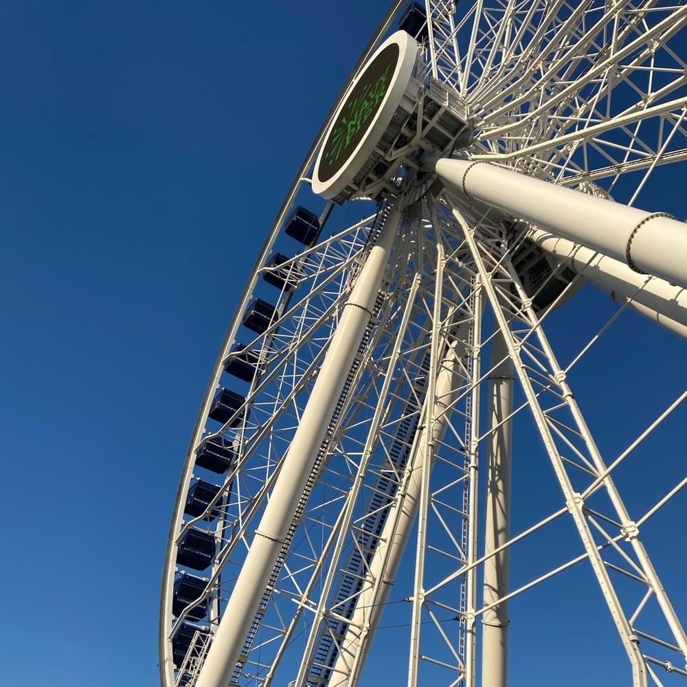 Meet your Posher, Bella